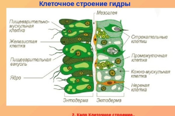 Кракен 15 ссылка