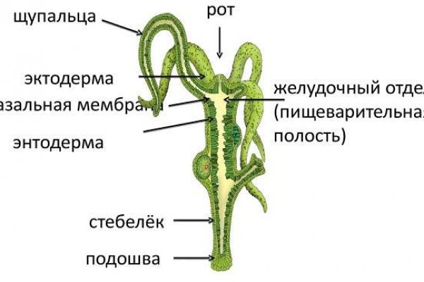 Кракен даркнет зайти